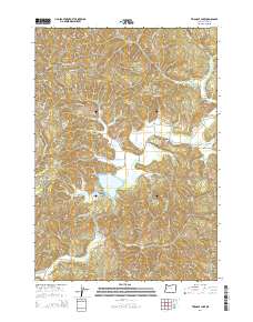 Triangle Lake 2014 topographic map thumbnail