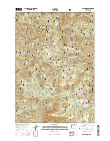 Coffin Mountain 2014 topographic map thumbnail