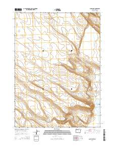 Alger Lake 2014 topographic map thumbnail