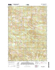 Sunset Spring 2014 topographic map thumbnail