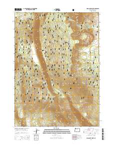 Swan Lake Point 2014 topographic map thumbnail