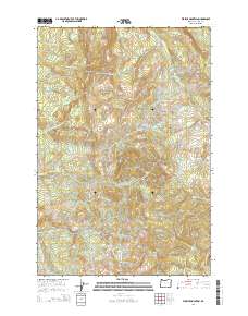 Wickiup Mountain 2014 topographic map thumbnail