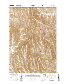 Balm Canyon 2014 topographic map thumbnail