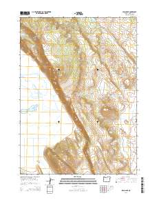 Swan Lake 2014 topographic map thumbnail