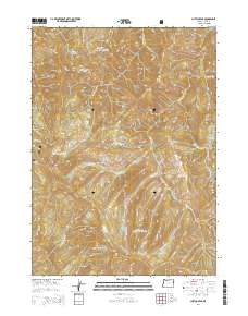 Chetco Peak 2014 topographic map thumbnail