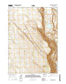 Priday Reservoir 2014 topographic map thumbnail