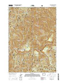 Illahee Rock 2014 topographic map thumbnail