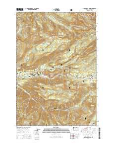 Government Camp 2014 topographic map thumbnail