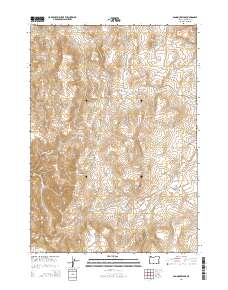 Bannock Ridge 2014 topographic map thumbnail