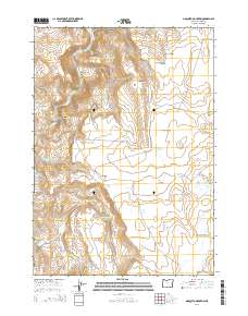 Mosquito Mountain 2014 topographic map thumbnail
