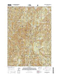 Richter Mountain 2014 topographic map thumbnail