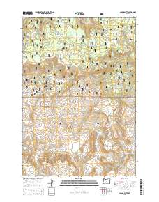 Collins Butte 2014 topographic map thumbnail