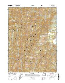 Onion Mountain 2014 topographic map thumbnail