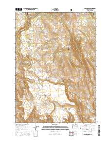 Otis Mountain 2014 topographic map thumbnail