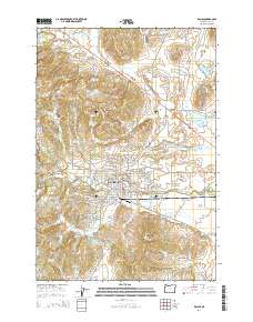 Dallas 2014 topographic map thumbnail