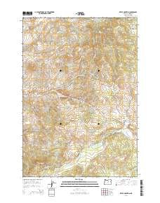Keyes Mountain 2014 topographic map preview