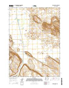 Diamond Swamp 2014 topographic map thumbnail