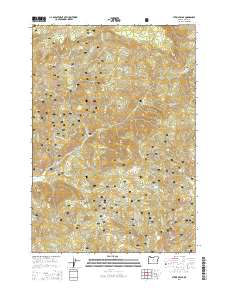Steins Pillar 2014 topographic map thumbnail