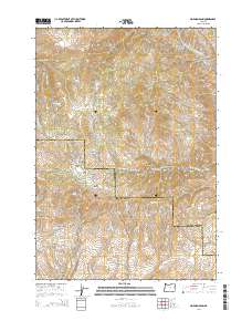 Mormon Basin 2014 topographic map thumbnail