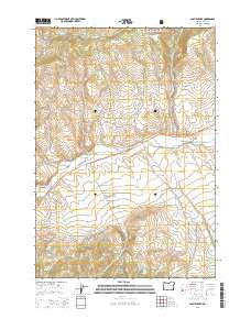Castle Creek 2014 topographic map thumbnail