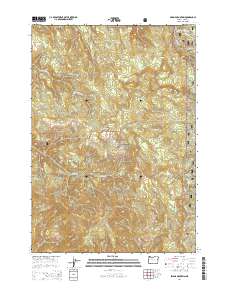 Swamp Mountain 2014 topographic map thumbnail