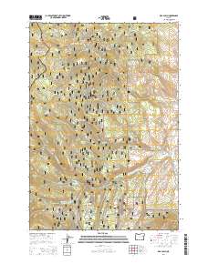 Rail Gulch 2014 topographic map thumbnail