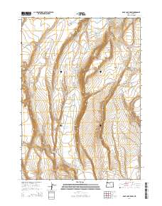 Rock Camp Draw 2014 topographic map thumbnail