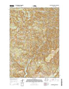 Yellowstone Mountain 2014 topographic map thumbnail