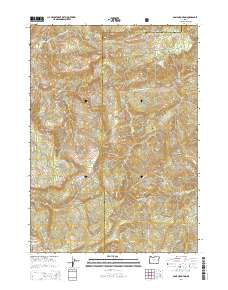 Bone Mountain 2014 topographic map thumbnail