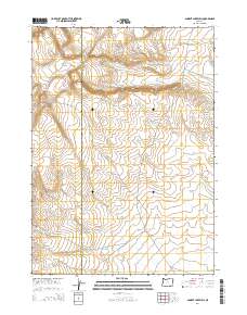 Ancient Lake Well 2014 topographic map thumbnail