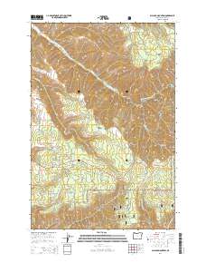 Blalock Mountain 2014 topographic map thumbnail