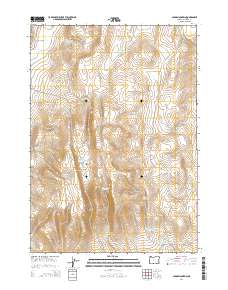 Cedar Mountain 2014 topographic map thumbnail