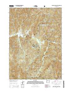 Cedar Springs Mountain 2014 topographic map thumbnail