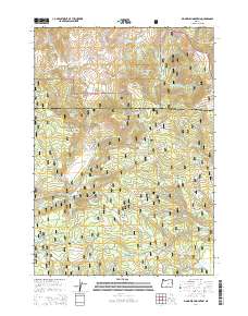 Big Mowich Mountain 2014 topographic map thumbnail