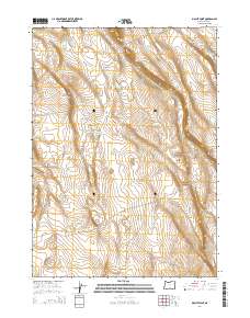 Biscuit Point 2014 topographic map thumbnail