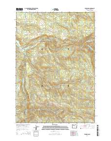 Fernwood 2014 topographic map thumbnail