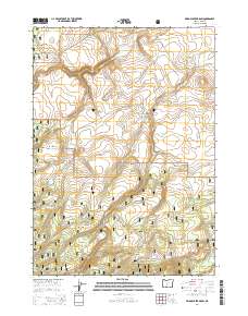 Bridge Creek Draw 2014 topographic map thumbnail