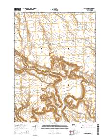 Clover Swale 2014 topographic map thumbnail