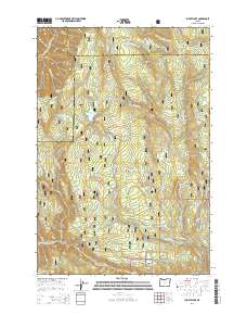 Jubilee Lake 2014 topographic map thumbnail