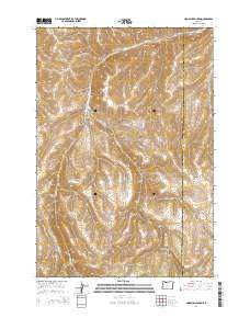 Hoodlum Canyon 2014 topographic map thumbnail