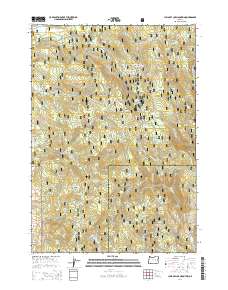 Jump-off Joe Mountain 2014 topographic map thumbnail