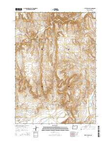 Little Valley 2014 topographic map thumbnail