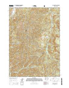 Lane Mountain 2014 topographic map thumbnail