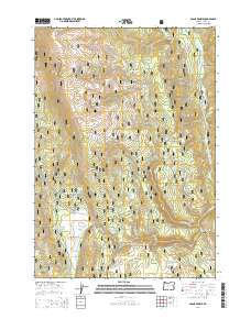 Crane Prairie 2014 topographic map thumbnail