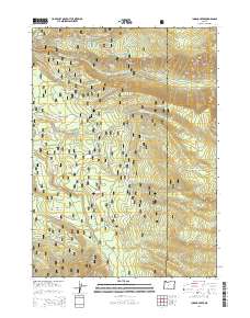 Imnaha Creek 2014 topographic map thumbnail