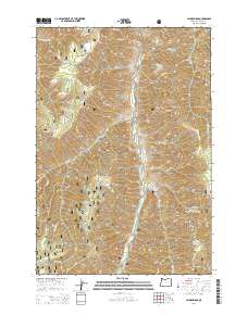 Jaynes Ridge 2014 topographic map thumbnail