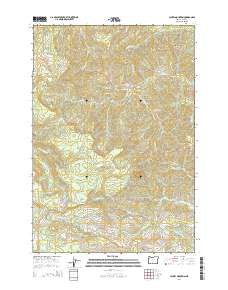 Laurel Mountain 2014 topographic map thumbnail