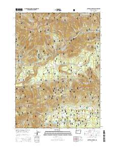 Potter Mountain 2014 topographic map preview