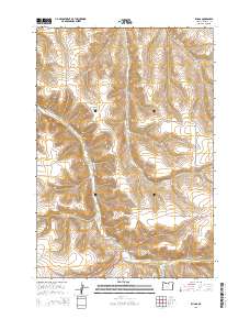 Ruggs 2014 topographic map thumbnail