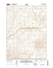 Lookout Lake 2014 topographic map thumbnail